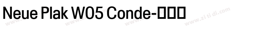 Neue Plak W05 Conde字体转换